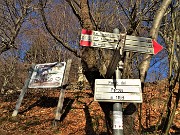 35 Al Passo del Pertus (1193 m)